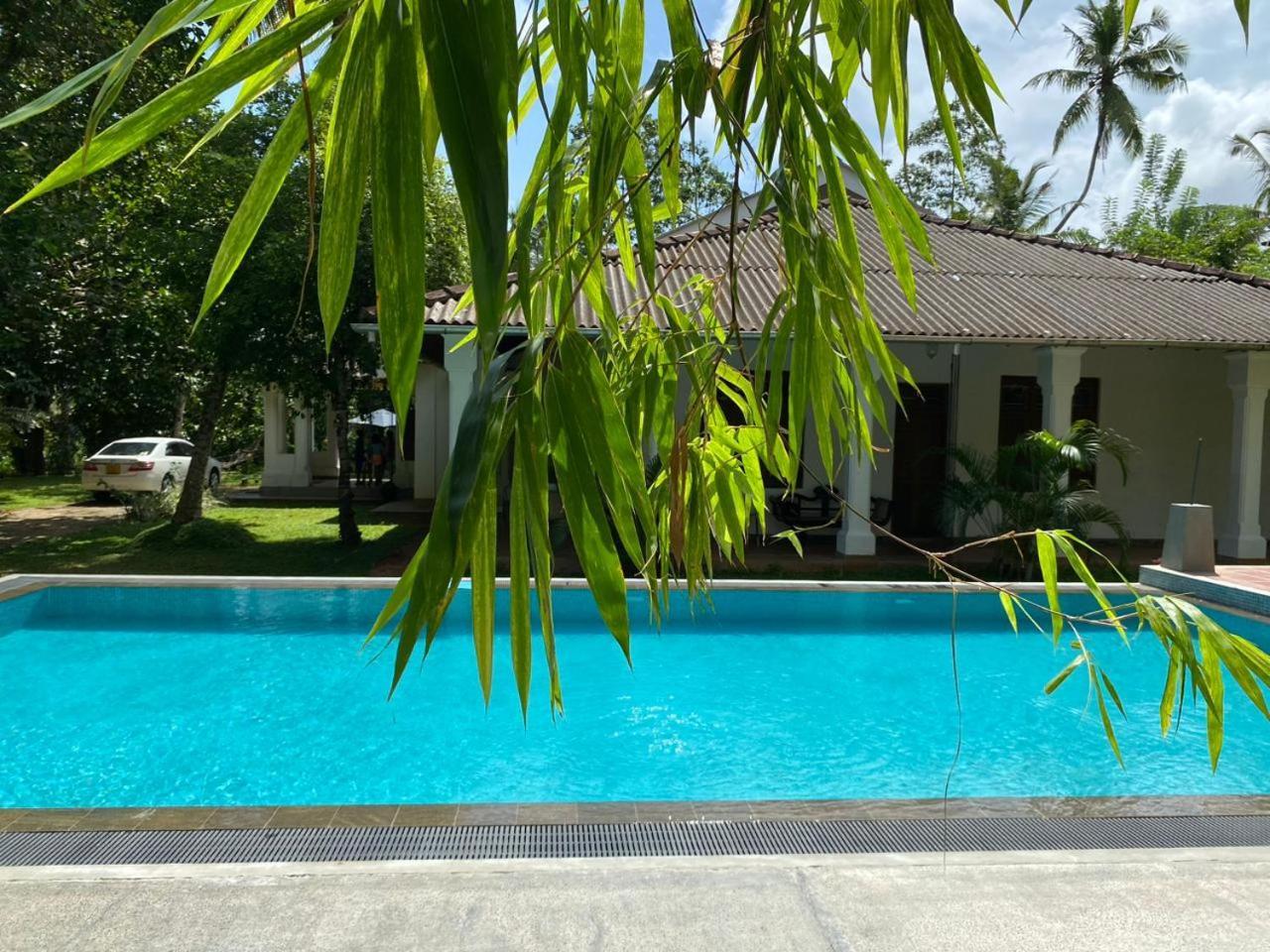 Villa Helvetia กอลล์ ภายนอก รูปภาพ