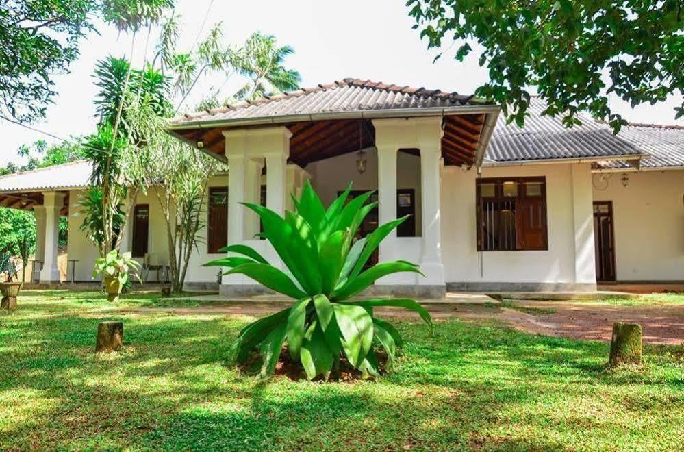 Villa Helvetia กอลล์ ภายนอก รูปภาพ